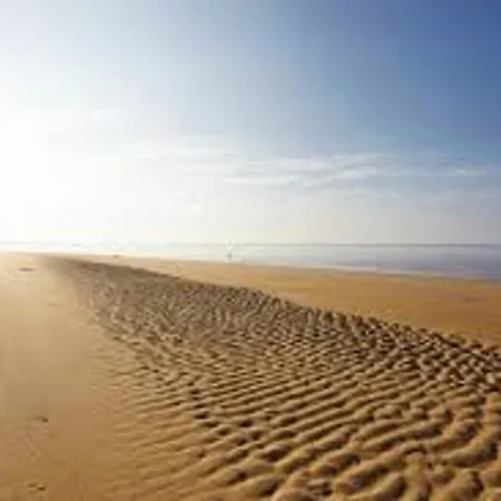 Maison Ideale Pour Familles A 300M De La Plage Avec Cour, Wi-Fi, 2 Logements, Accepte Les Animaux - Fr-1-194-248 Vakantiehuis *